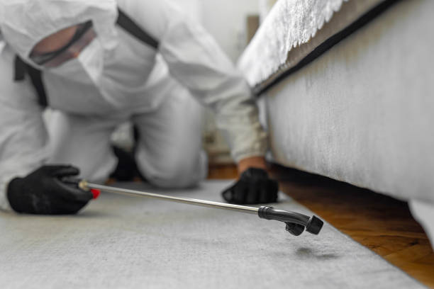 Professional Termite Control technician working in Coopertown, TN