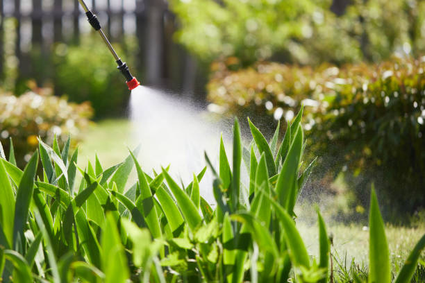 24/7 Emergency Termite Control experts in Coopertown, TN